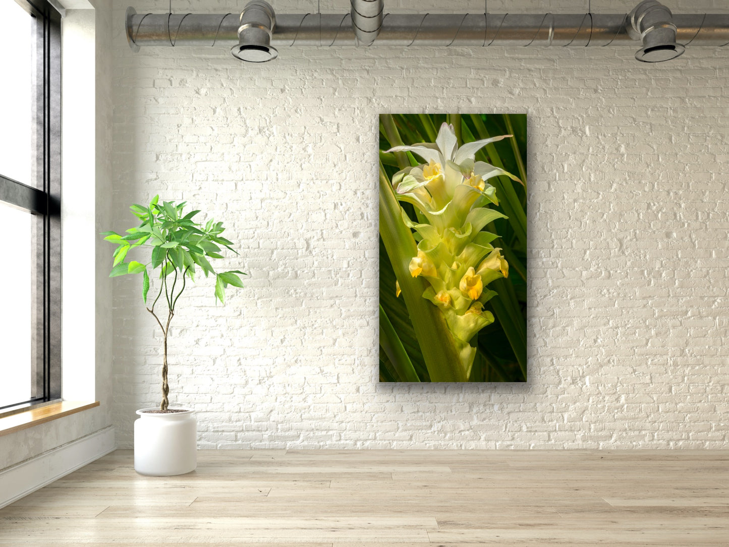 Wall demo of Olena Bloom, a fine art photograph by Kauai nature photographers Inspiring Images Hawaii.