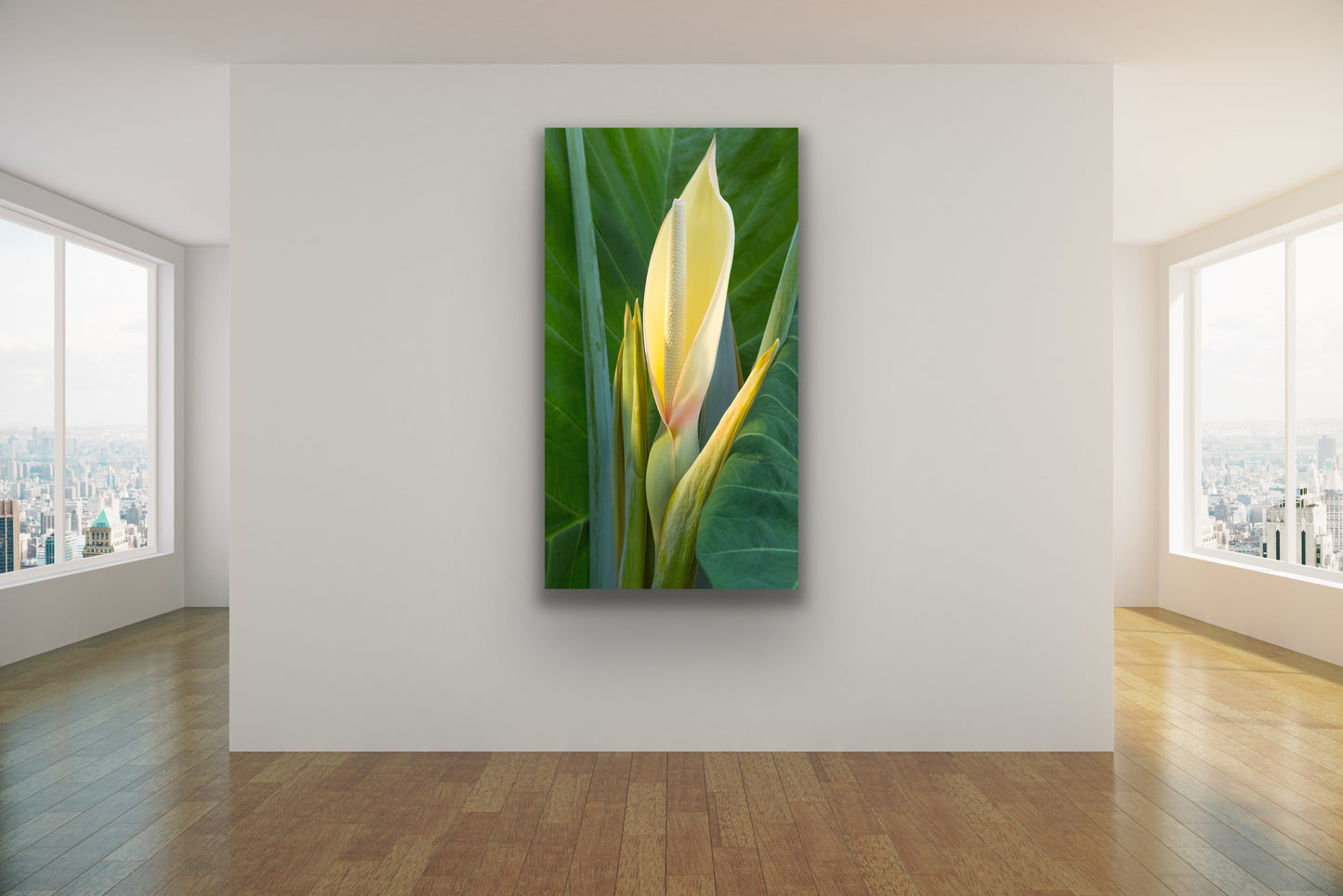 Wall demo of Taro Blossom, a fine art nature photograph by Kauai outdoor and landscape photographers Inspiring Images Hawaii.