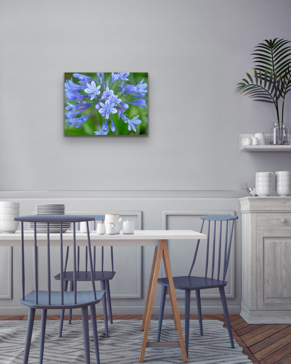 Wall demo of Lavender Haze, a fine art macro nature photograph by Kauai’s Inspiring Images Hawaii.