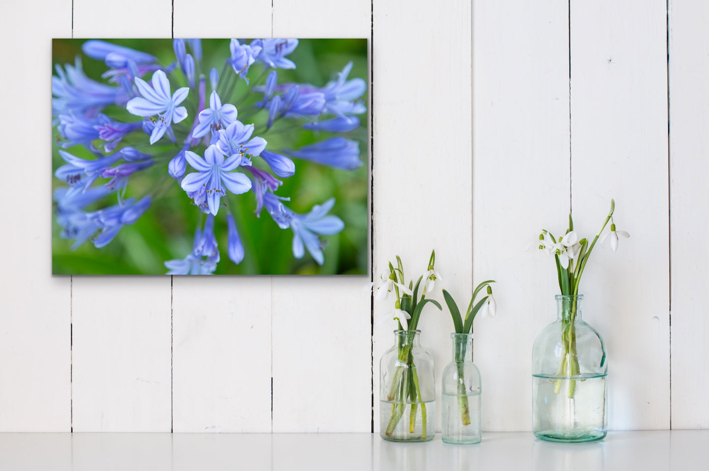 Wall demo of Lavender Haze, a fine art photograph by Inspiring Images Hawaii.