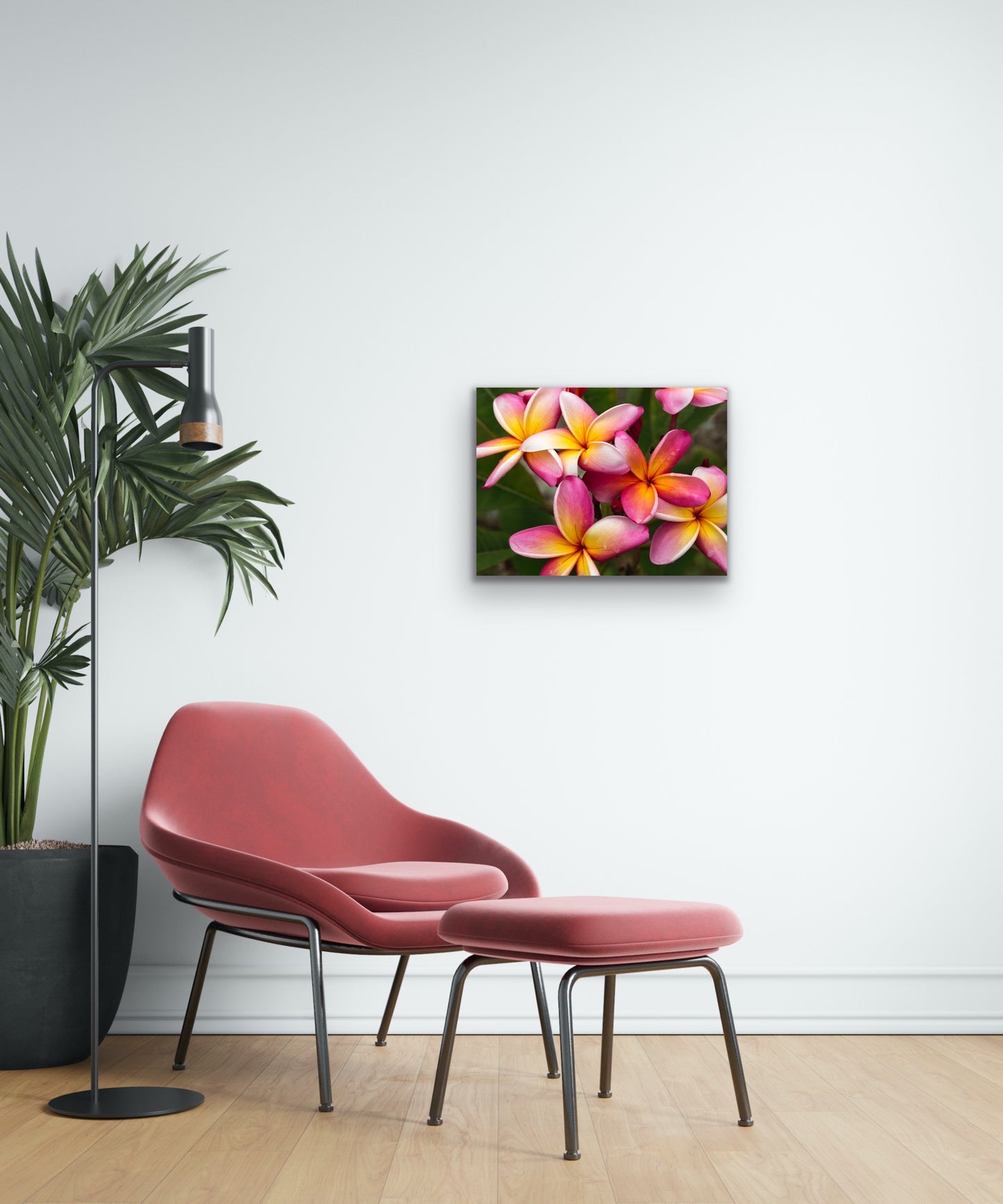 Wall demo of Plumeria by Averie, a fine art photograph by Kauai nature photographers Inspiring Images Hawaii.