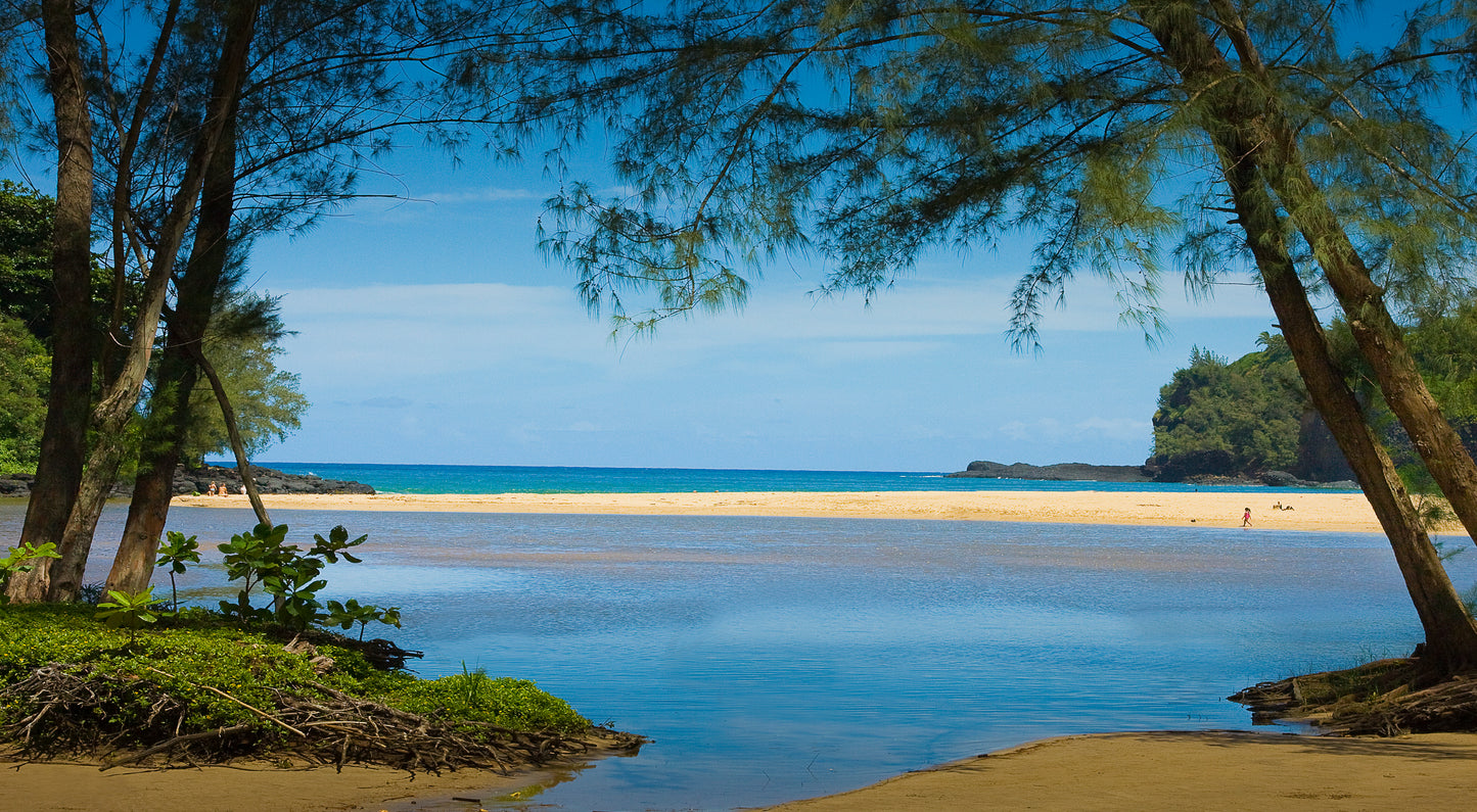 A fine art photograph of Kalihiwai Beach on Kauai. Pine trees frame an idyllic beach scene near the river mouth. Outdoor landscape photography by Inspiring Images Hawaii.