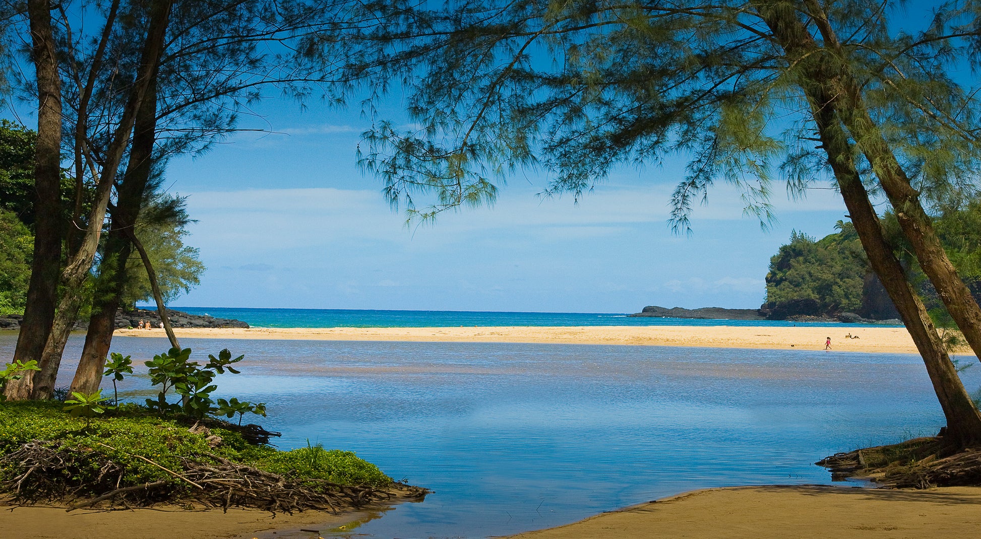 A fine art photograph of Kalihiwai Beach on Kauai. Pine trees frame an idyllic beach scene near the river mouth. Outdoor landscape photography by Inspiring Images Hawaii.