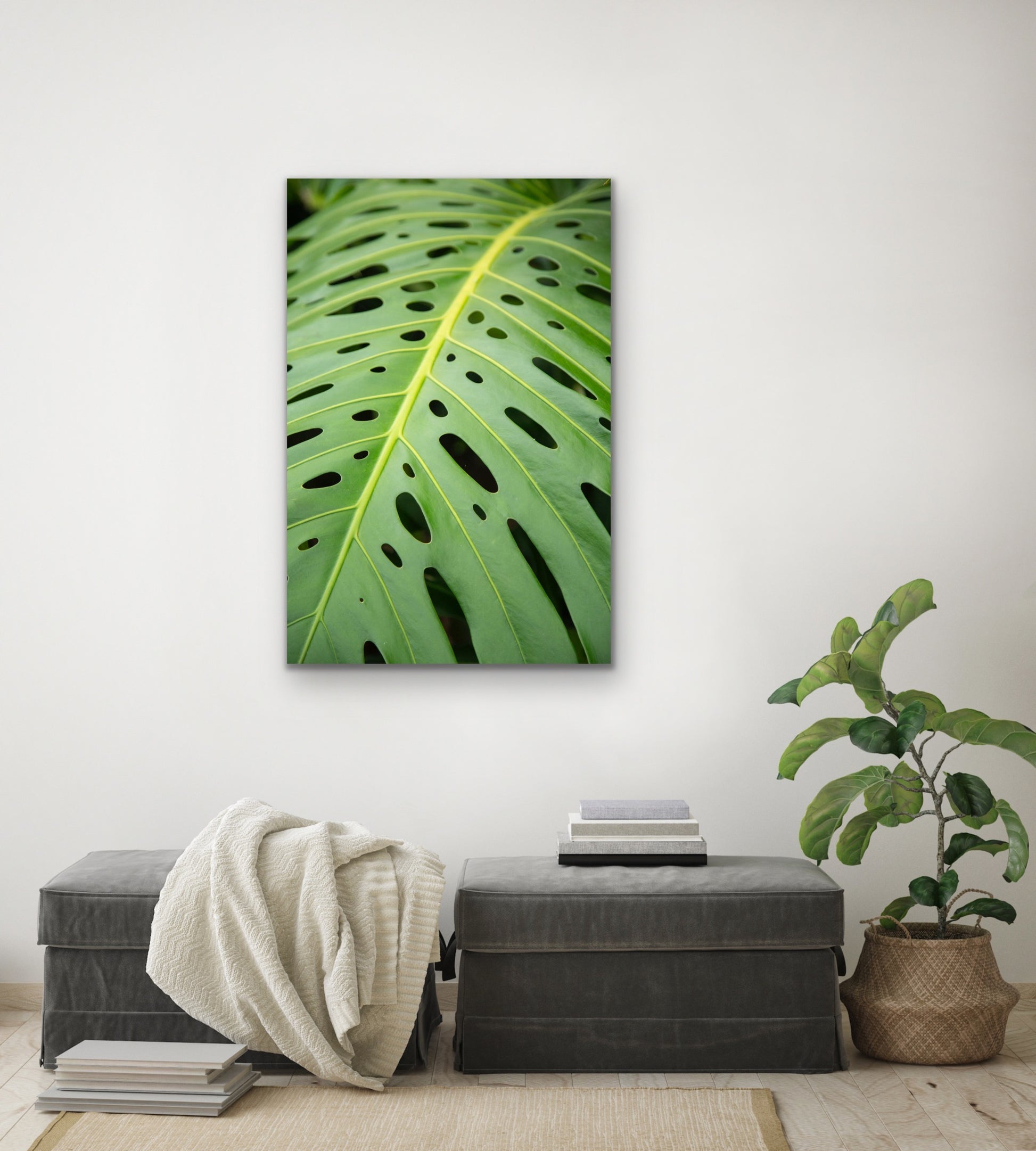 Wall demo of Monstera, a macro nature photograph by fine art photographers Inspiring Images Hawaii.