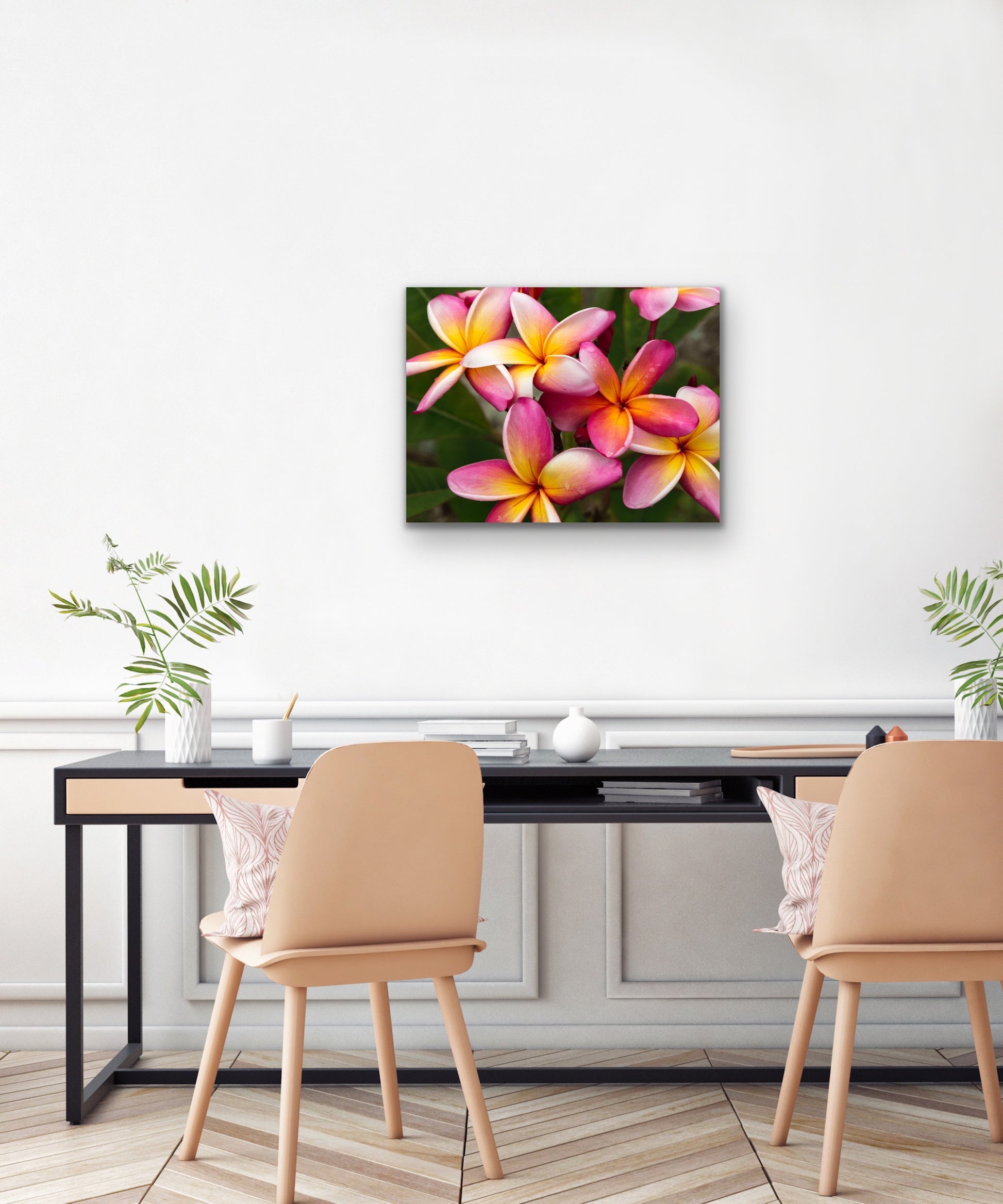 Wall demo of Plumeria by Averie, a fine art photograph by Kauai nature photographers Inspiring Images Hawaii.