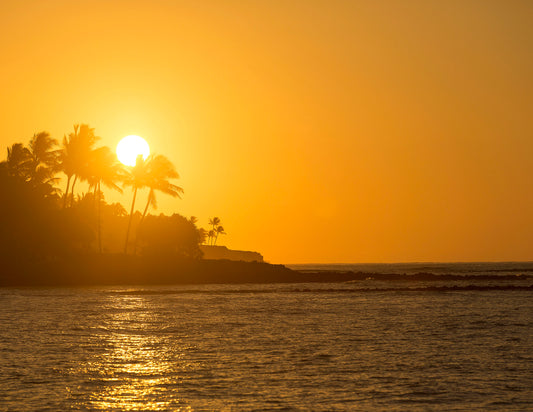 Fine art landscape photograph of a deep gold sunrise, the sun is cradled by silhouetted palm trees. Outdoor and nature landscape photography by Kauai’s Inspiring Images Hawaii.
